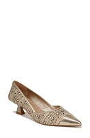 Franco Sarto Darcy Pointed Toe Kitten Heel Pump Gold Multi at Nordstrom,