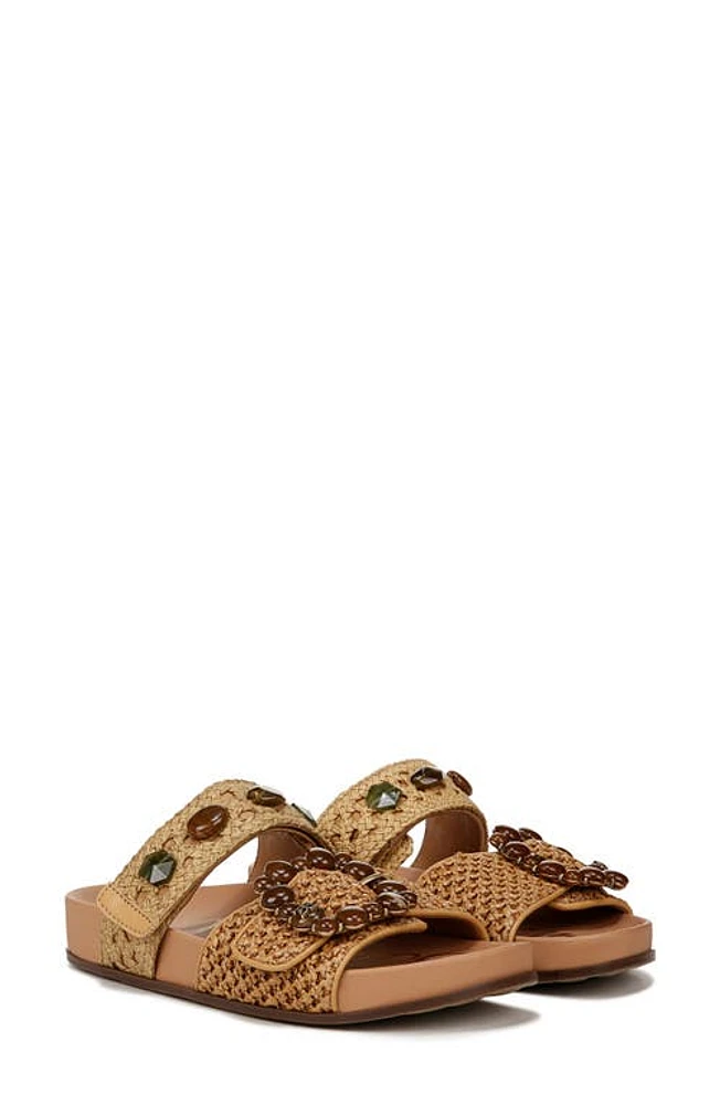 Sam Edelman Regan Sandal Toffee at Nordstrom,