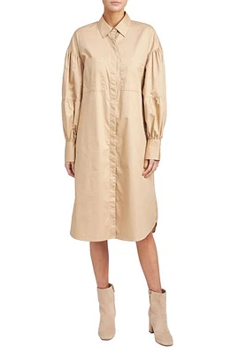 En Saison Sandrine Long Sleeve Cotton Shift Dress at Nordstrom, Size Small