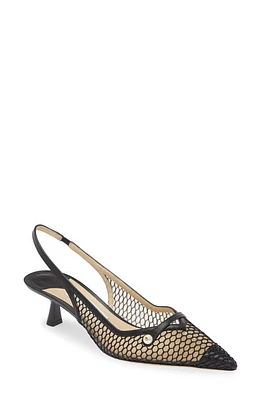 Jimmy Choo Amita Kitten Heel Pointed Toe Slingback Pump Black/Black at Nordstrom,