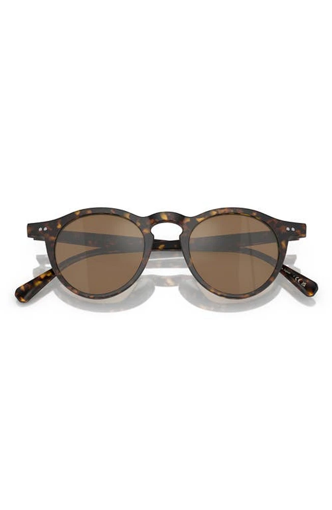 Oliver Peoples OP-13 47mm Round Sunglasses in Tortoise at Nordstrom