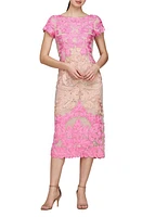 JS Collections Soutache Lace Cocktail Dress at Nordstrom,