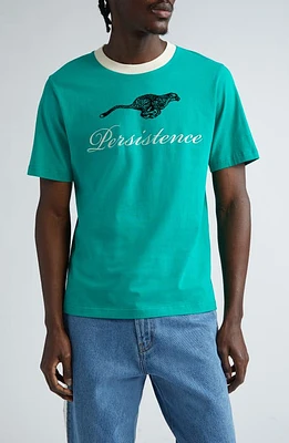 Wales Bonner Persistence Cotton T-Shirt Green at Nordstrom,