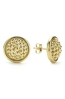 LAGOS Meridan Caviar Stud Earrings in Gold at Nordstrom