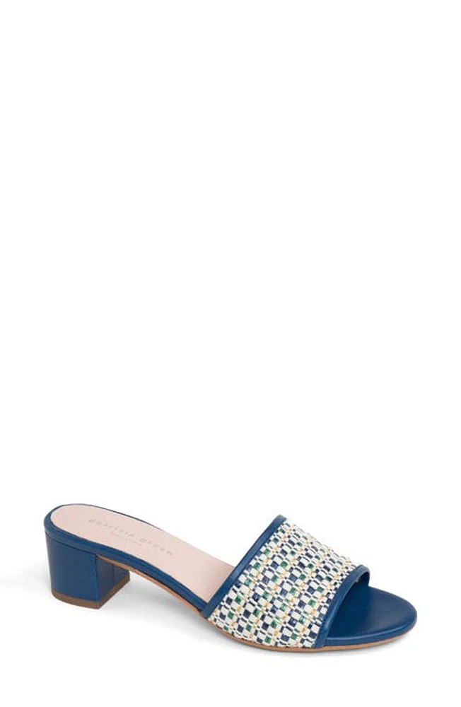 patricia green Harper Raffia Slide Sandal at Nordstrom,