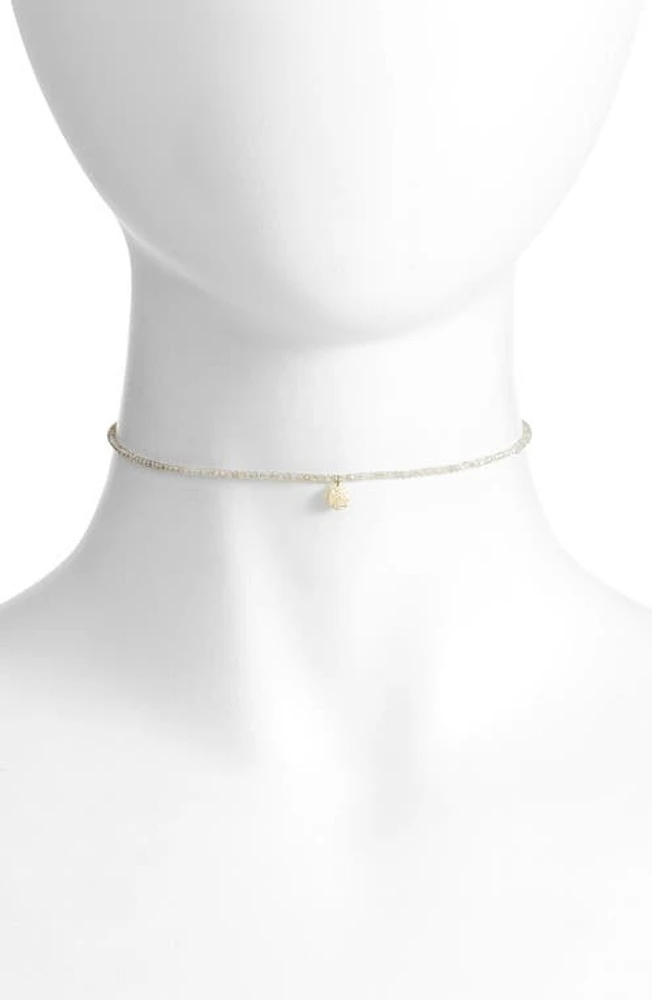 Meira T Diamond Charm Choker Necklace in Yellow Gold at Nordstrom, Size 18 In