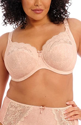 Elomi Molly Full Figure Underwire Nursing Bra at Nordstrom,