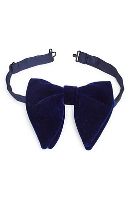 CLIFTON WILSON Velvet Silk Butterfly Bow Tie in Blue at Nordstrom