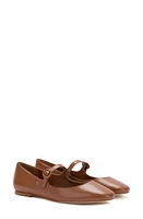 Larroudé Blair Mary Jane Flat Caramel at Nordstrom,