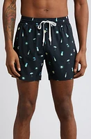 Chubbies Classic Lined 5.5-Inch Swim Trunks The Beach Essentials at Nordstrom,