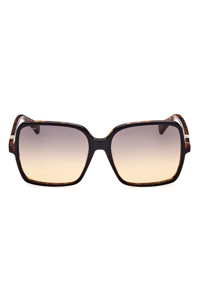 Max Mara 60mm Gradient Square Sunglasses in Shiny Bilayer Black Havana at Nordstrom