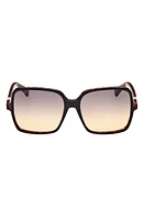 Max Mara 60mm Gradient Square Sunglasses in Shiny Bilayer Black Havana at Nordstrom