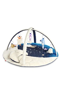 Skip Hop Celestial Dreams Activity Gym in Multi at Nordstrom