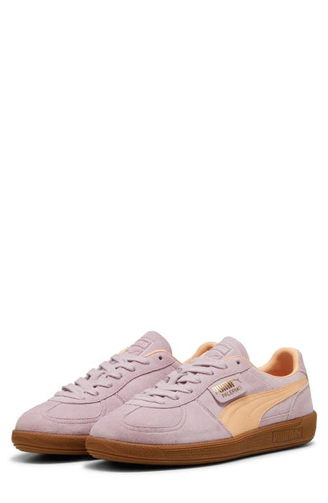 PUMA Palermo Sneaker Grape Mist-Peach Fizz at Nordstrom,