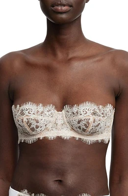 Skarlett Blue Entice Strapless Lace Underwire Bra at Nordstrom,