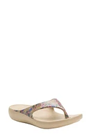 Alegria by PG Lite Ode Flip Flop at Nordstrom,