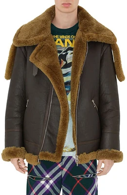 burberry Genuine Shearling & Leather Aviator Jacket in Otter at Nordstrom, Size 38 Us