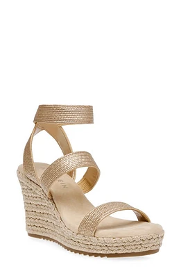 Anne Klein Willa Espadrille Wedge Raffia Sandal in Platinum Raffia Elastic at Nordstrom, Size 10