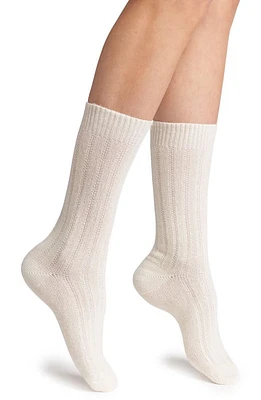 Nordstrom Rib Crew Socks in Ivory Cloud at Nordstrom, Size 9