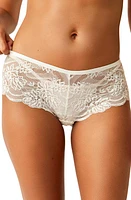 Free People Last Dance Lace Briefs at Nordstrom,