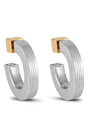 IVI Los Angeles Small Signore Hollow Hoop Earrings in Silver at Nordstrom