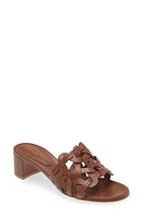 Gianvito Rossi Amalfi Block Heel Slide Sandal Havana at Nordstrom,