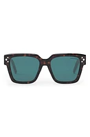 DIOR CD Diamond S3F 55mm Square Sunglasses in Havana/Other /Blue at Nordstrom