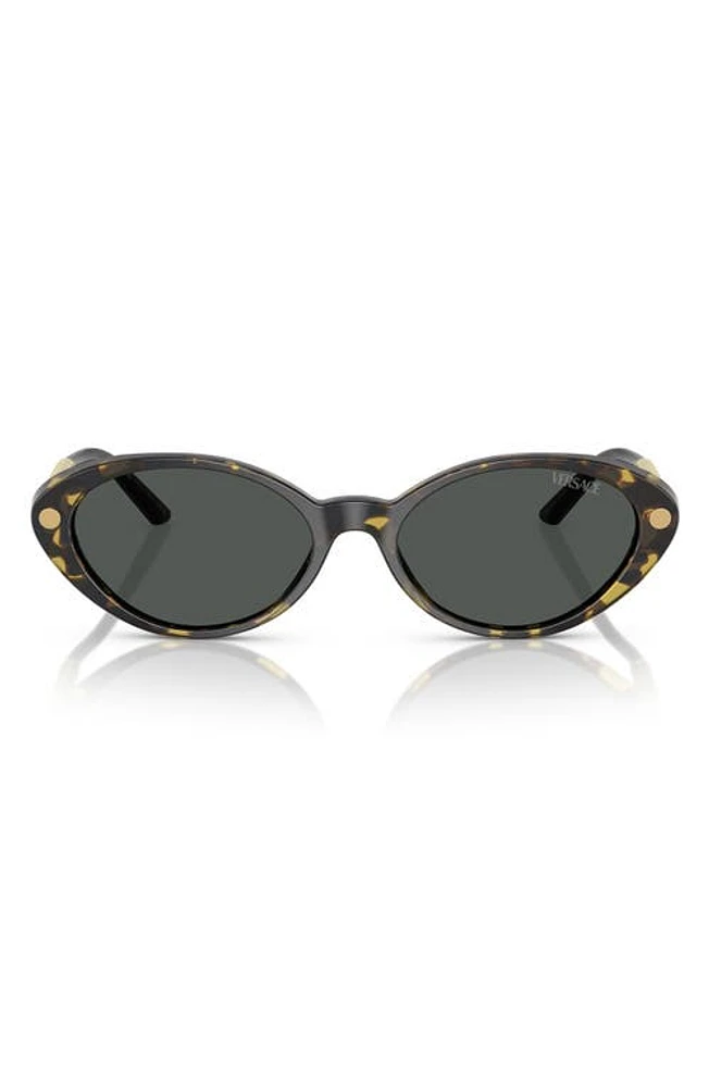 Versace 54mm Oval Sunglasses in Havana at Nordstrom