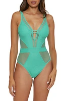 Becca Network Metallic Mesh One-Piece Swimsuit at Nordstrom,