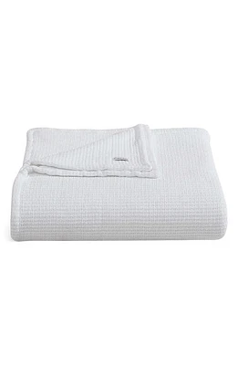 Calvin Klein Honeycomb Cotton Blanket in at Nordstrom