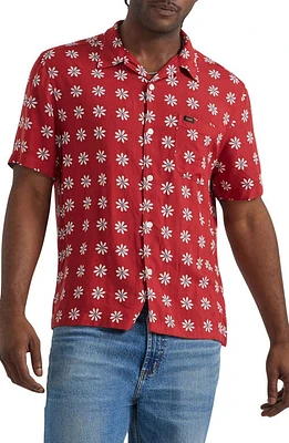 Lee Floral Camp Shirt Garnet Daisy Print at Nordstrom,