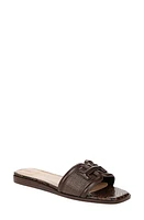 Sam Edelman Irina Slide Sandal Pinto Brown at Nordstrom,