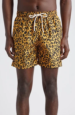 Palm Angels Cheetah Print Swim Trunks Orange Black at Nordstrom,