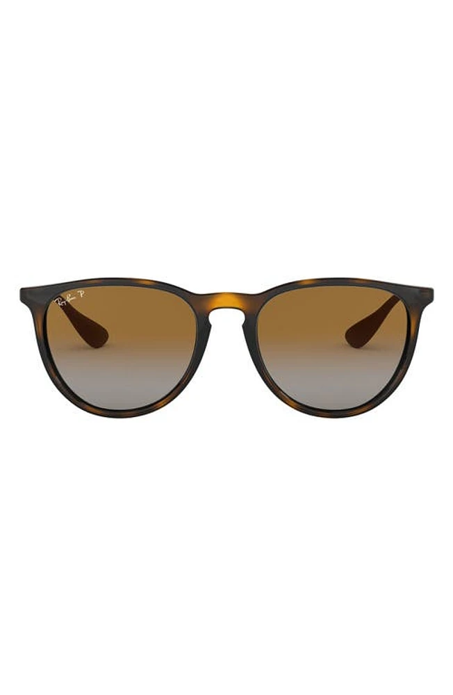 Ray-Ban 54mm Polarized Gradient Round Sunglasses in Havana at Nordstrom