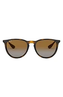 Ray-Ban 54mm Polarized Gradient Round Sunglasses in Havana at Nordstrom