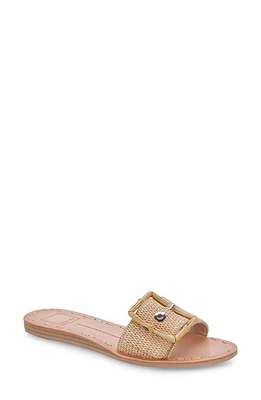 Dolce Vita Dasa Slide Sandal at Nordstrom,