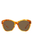 Ralph Lauren 55mm Square Sunglasses in Lite Havana at Nordstrom