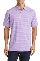 Peter Millar Drum Stripe Performance Jersey Polo at Nordstrom,