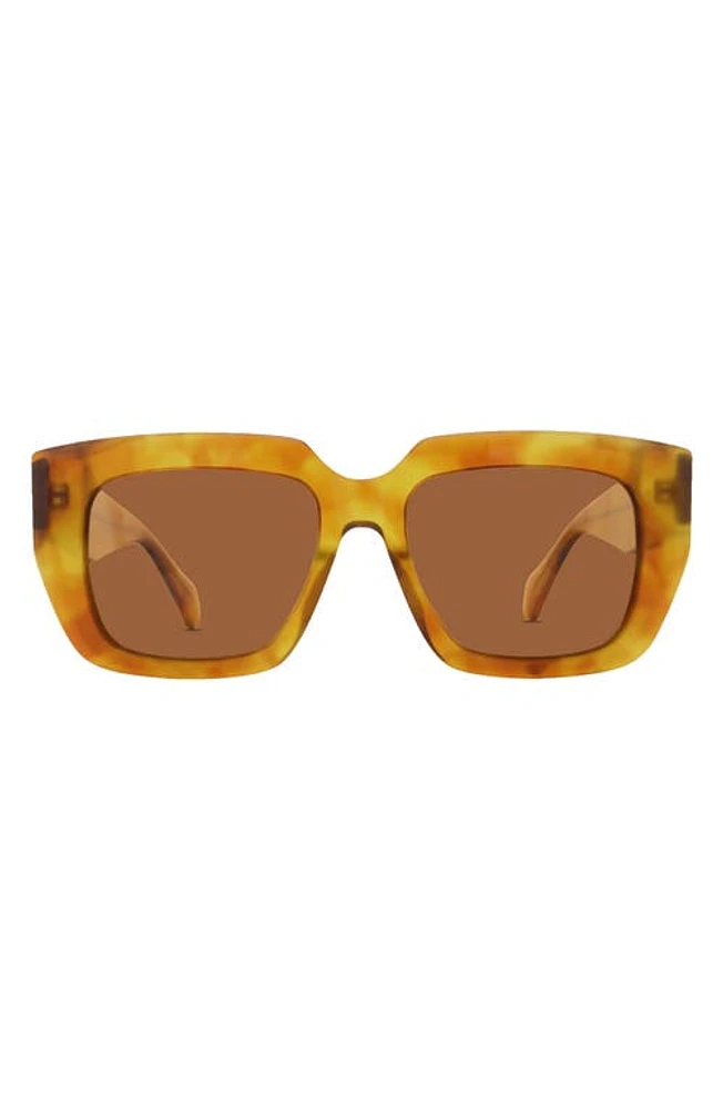 Banbé The Irina Square Sunglasses in Honey Tort-Brown at Nordstrom