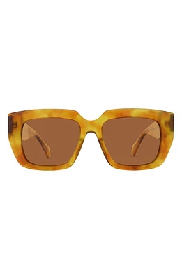 Banbé The Irina Square Sunglasses in Honey Tort-Brown at Nordstrom