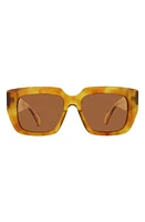 Banbé The Irina Square Sunglasses in Honey Tort-Brown at Nordstrom