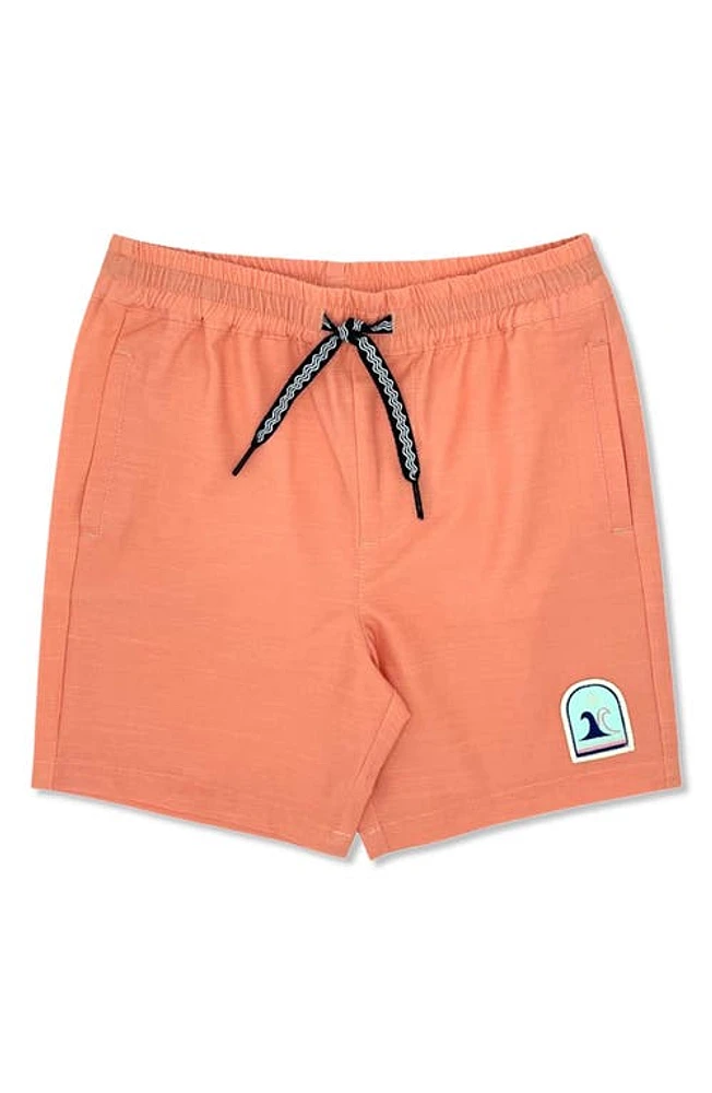 Feather 4 Arrow Seafarer Hybrid Shorts Pap at Nordstrom,