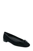 Stuart Weitzman Arabella Ballet Flat at Nordstrom,