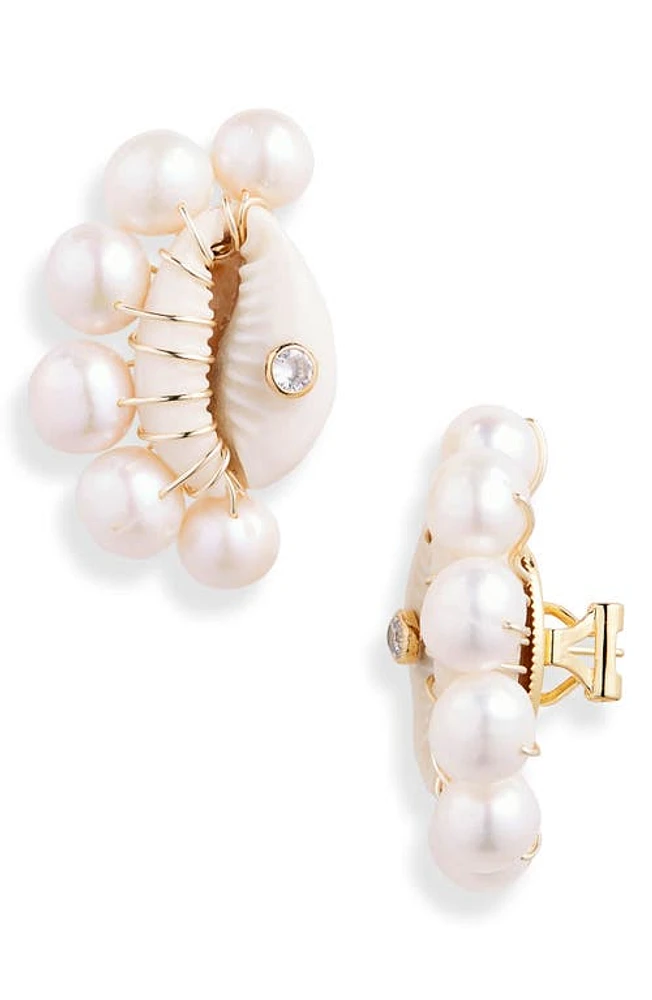 Éliou Lara Shell & Freshwater Pearl Stud Earrings in Tiger Shell at Nordstrom