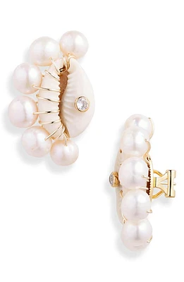 Éliou Lara Shell & Freshwater Pearl Stud Earrings in Tiger Shell at Nordstrom