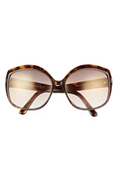 TOM FORD Chiara-02 56mm Round Sunglasses in Havana Brown at Nordstrom