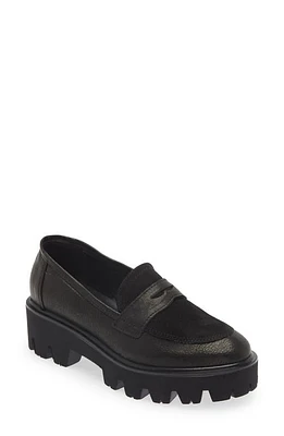 Cordani Audrey Platform Penny Loafer Pelle Nero at Nordstrom,