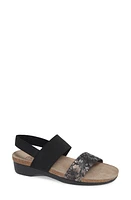 Munro Pisces Sandal Dark Floral Print Leather at Nordstrom,