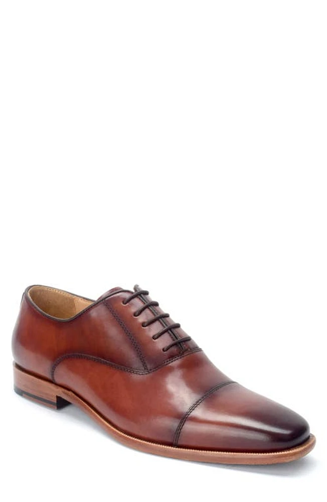 Warfield & Grand Birch Oxford Chestnut at Nordstrom,