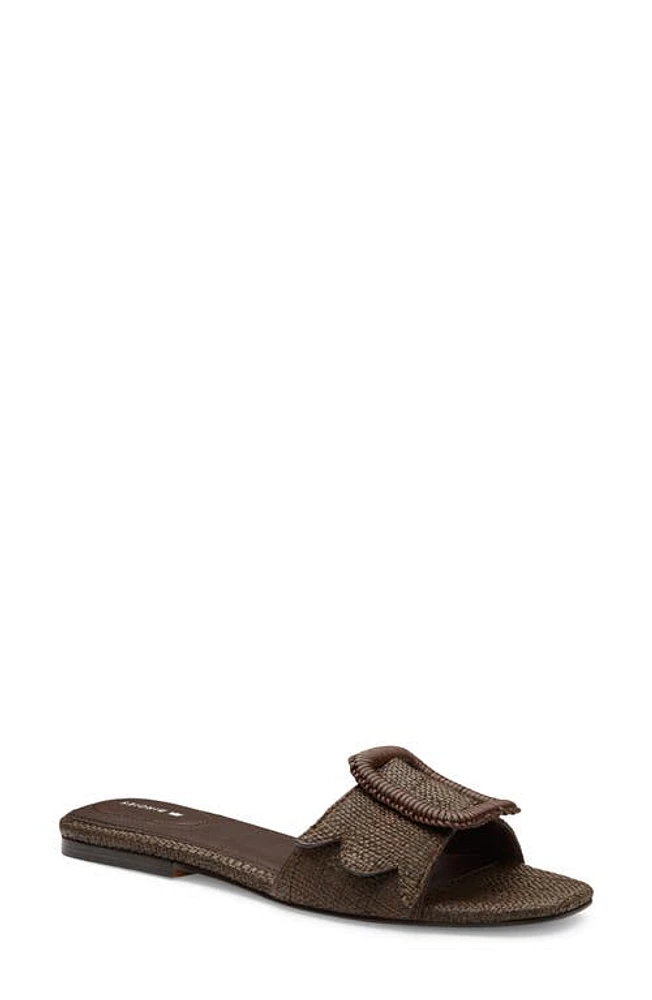 Birdies Kiwi Slide Sandal Raffia at Nordstrom,